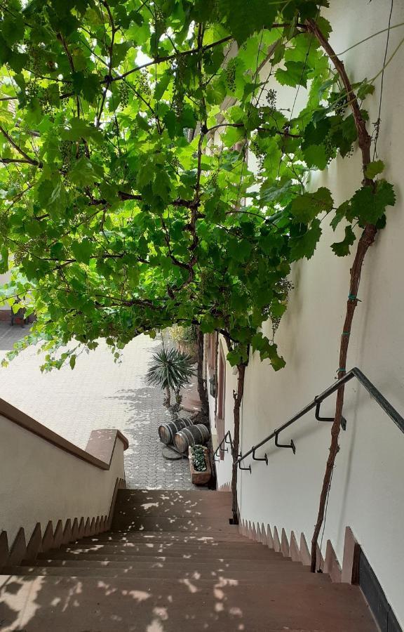 Das Landhotel Weingut Gernert Sankt Martin Exteriér fotografie