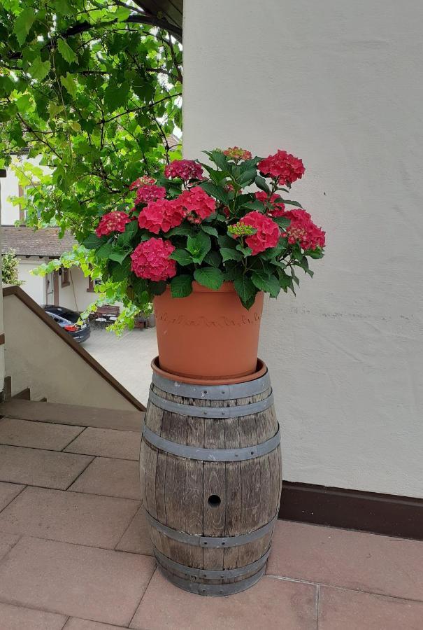Das Landhotel Weingut Gernert Sankt Martin Exteriér fotografie