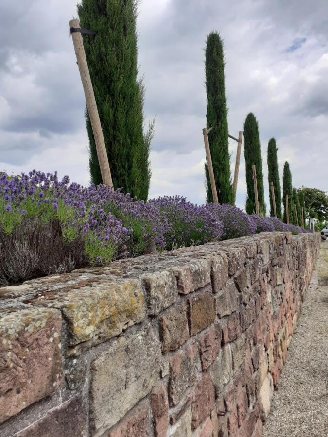 Das Landhotel Weingut Gernert Sankt Martin Exteriér fotografie